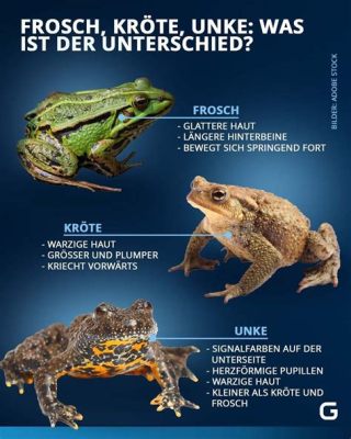 Die Fürstin und der Frosch: Eine skurrile Begegnung zwischen Adel und Amphibienwelt!